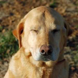 Meet your Posher, Rita